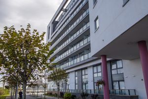 Photo 12- click for photo gallery